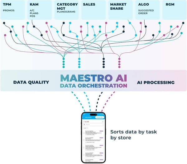 Maestro Website 2